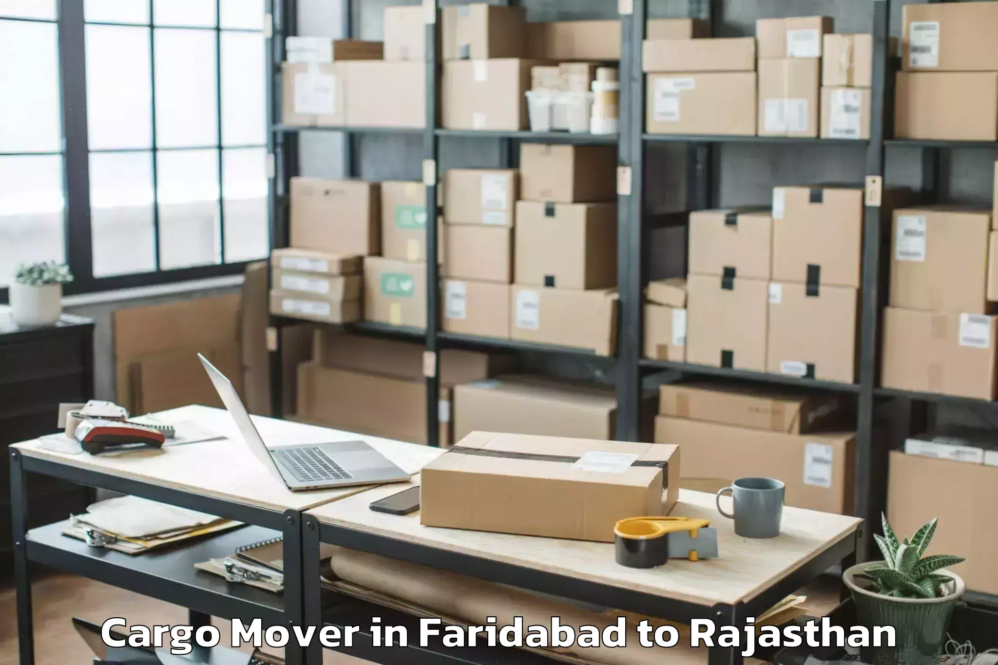 Expert Faridabad to Singhania University Jhunjhunu Cargo Mover